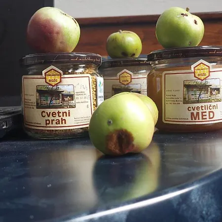 Maison d'hôtes Rože Ilirska Bistrica