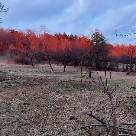 Roze 3* Ilirska Bistrica