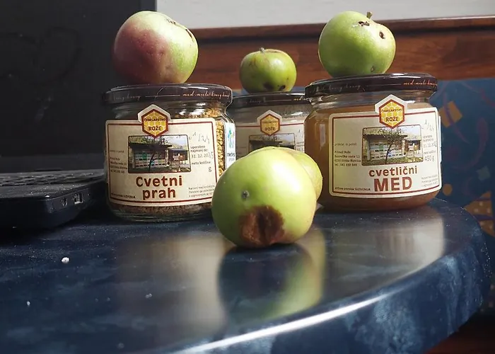 Πανσιόν Roze Ilirska Bistrica