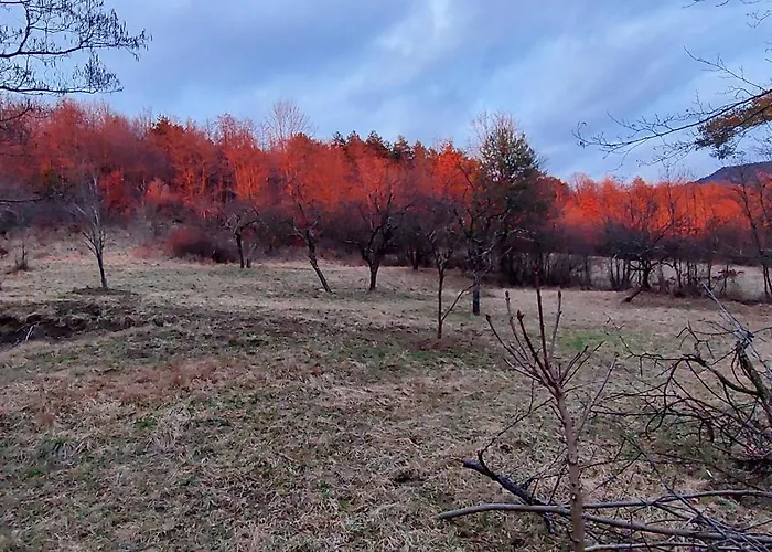 Roze 3* Ilirska Bistrica