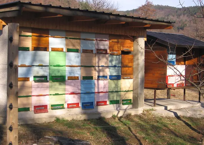 Roze Ilirska Bistrica